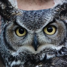 Res Creata: una scena