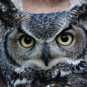 Res Creata: una scena