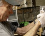 S.O.S. Gatto, la recensione: Storie di dedizione e coraggio