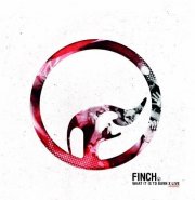 Locandina di Finch: What It Is To Burn - X