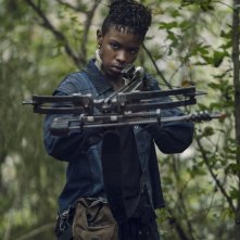 The Walking Dead 10: Angel Theory in una scena degli episodi bonus