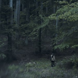 La veduta luminosa: Alessandro Carlini in una scena