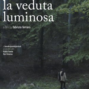 Locandina di La veduta luminosa