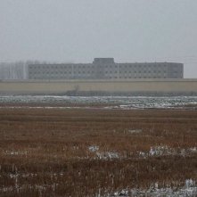 Cattività: un'immagine