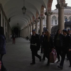 Cattività: una sequenza