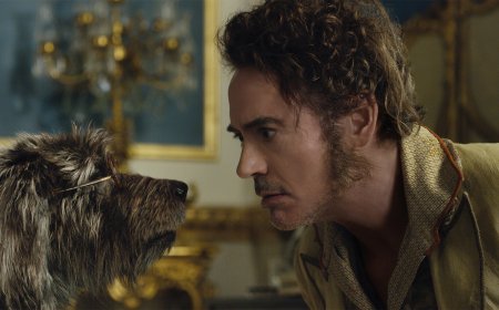 Razzie Award 2021: 365 Giorni e Dolittle, con star Robert Downey Jr, guidano con sei nomination