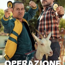 Locandina di Operazione Celestina