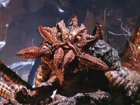 IT: per Tim Curry il ragno del finale 'Non era molto convincente'