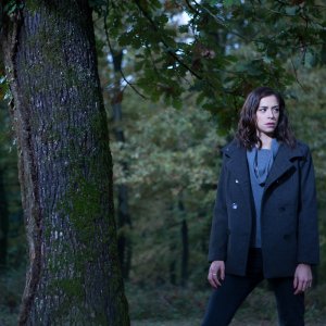 L'ombra del lupo: un'immagine