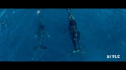 Seaspiracy - Trailer