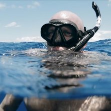 Seaspiracy: esiste la pesca sostenibile?: un'immagine