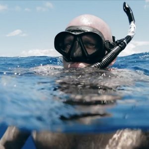 Seaspiracy: esiste la pesca sostenibile?: un'immagine