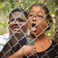 Bad Trip: un'immagine