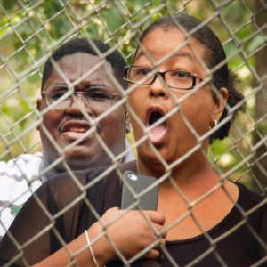 Bad Trip: un'immagine