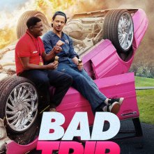 Locandina di Bad Trip