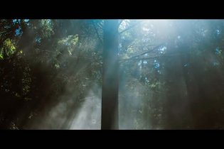 In The Earth - Trailer