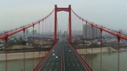 Covid 19 -  Il virus della paura -  Trailer