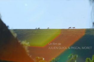 Les Nanosurvies, Les Pouvoirs Invisibles De La Nature