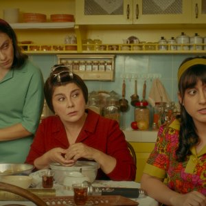 Have You Ever Seen Fireflies?: un'immagine del film