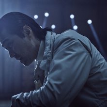 Night in Paradise: una foto