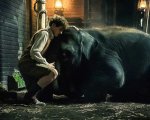 Zoo - Un amico da salvare: la storia vera che ha ispirato il film