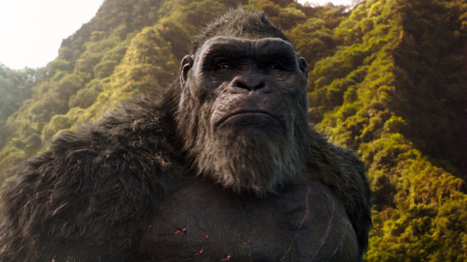 Godzilla Vs. Kong 2: svelata l'identità del villain del sequel?