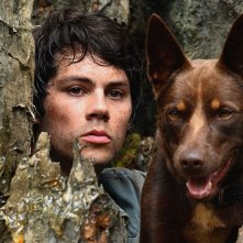 Love and Monsters: Dylan O'Brien in un'immagine