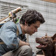 Love and Monsters: Dylan O'Brien in una sequenza