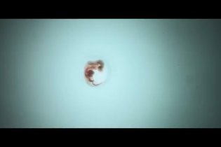 Voyagers - Trailer 2