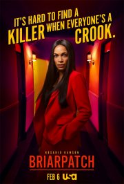Locandina di Briarpatch