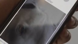 Two Distant Strangers - Trailer