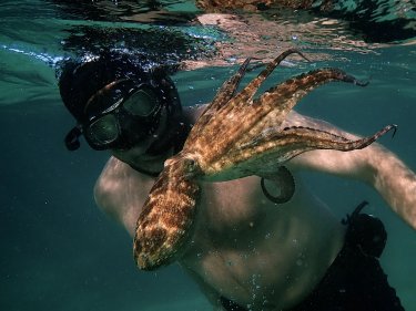 My Octopus Teacher