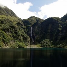 Microcosmo - Grande meraviglia: un'immagine