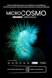 Locandina di Microcosmo - Grande meraviglia