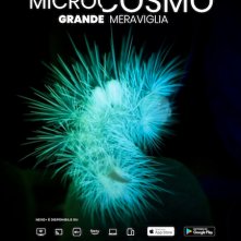 Locandina di Microcosmo - Grande meraviglia