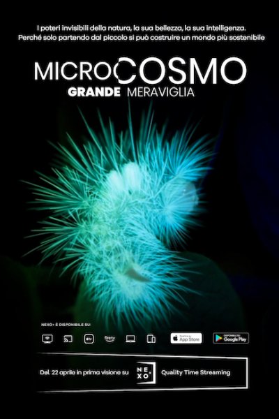 Microcosmo - Grande meraviglia (Film 2020): trama, cast, foto, news 