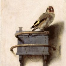 Il Cardellino, dipinto di Carel Fabritius