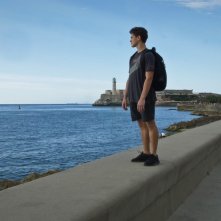 Cuban Dancer: un'immagine