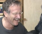 Robin Williams e la gorilla Koko: la storia di una emozionante amicizia