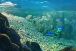 Luca - Trailer Italiano