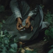 The Underground Railroad: una suggestiva immagine della serie