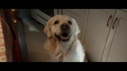 Tutti Per Uma - Trailer