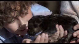 Zack - Cane Eroe  - Trailer Italiano