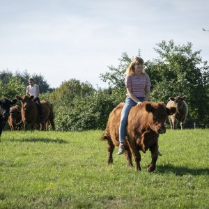 Io rimango qui: una scena