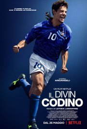 Locandina di Il Divin Codino