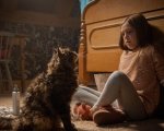 Pet Sematary 2: Lindsey Beer alla regia del nuovo film tratto dal libro di Stephen King