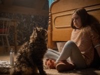 Pet Sematary 2: Lindsey Beer alla regia del nuovo film tratto dal libro di Stephen King