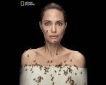 Angelina Jolie ricoperta da uno sciame di api per il World Bee Day (FOTO e VIDEO)