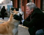 Hachiko - Il tuo migliore amico: di che razza è il cane del film