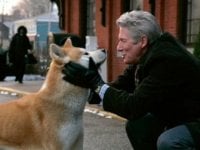 Hachiko - Il tuo migliore amico: di che razza è il cane del film